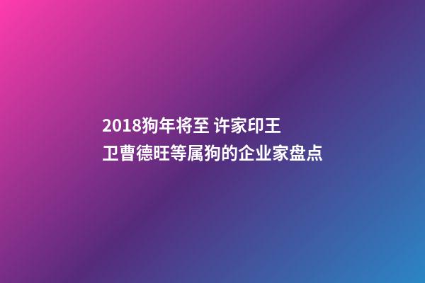 2018狗年将至 许家印王卫曹德旺等属狗的企业家盘点-第1张-观点-玄机派